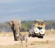 East Africa Group Safari Tour